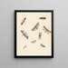 Studienblatt mit acht Nachtfaltern - Albertus Steenbergen — gerahmtes Bild an der Wand