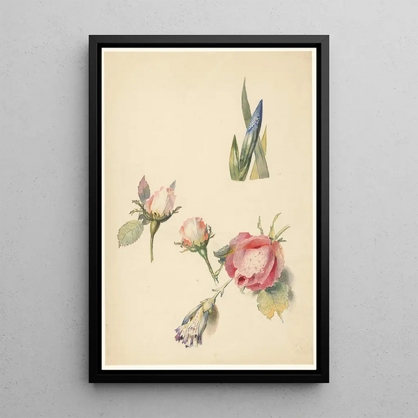 Reproduktion des Gemäldes Studienblatt mit drei Rosen und einer Iris - Albertus Steenbergen