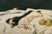 Lièvres morts - Albin Egger-Lienz — Ansicht des Kunstwerks