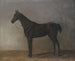Pferd grau - Albrecht Adam — Ansicht des Kunstwerks
