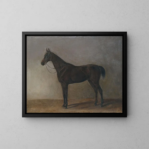 Pferd grau - Albrecht Adam — gerahmtes Bild an der Wand