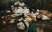 Enten im Wasser - Alexander Koester — Ansicht des Kunstwerks
