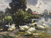 Huit canards au bord de l'eau - Alexander Koester — Ansicht des Kunstwerks