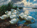 Enten am Seeufer - Alexander Koester — Ansicht des Kunstwerks