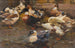 Enten vor der Scheune - Alexander Koester — Ansicht des Kunstwerks