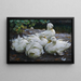 Fünf weiße Enten in Ruhe - Alexander Koester — gerahmtes Bild an der Wand