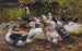 Mes canards, onze canards au bord de l'eau - Alexander Koester — Ansicht des Kunstwerks