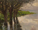 Reichenau, Weiden am See, Sonne - Alexander Koester — Ansicht des Kunstwerks