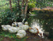 Sechs Enten am Teichrand - Alexander Koester — Ansicht des Kunstwerks