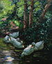 Sechs Enten im Wasser - Alexander Koester — Ansicht des Kunstwerks
