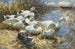 Sept Enten am Wasserufer - Alexander Koester — Ansicht des Kunstwerks