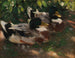 Zwei Enten auf dem Wasser - Alexander Koester — Ansicht des Kunstwerks