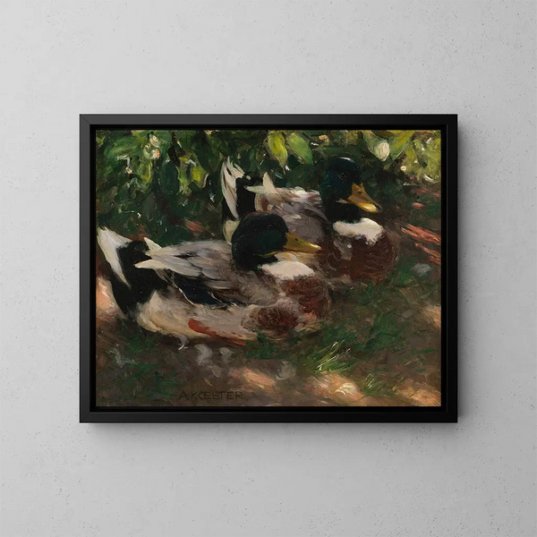 Zwei Enten auf dem Wasser - Alexander Koester — gerahmtes Bild an der Wand