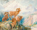 Mouflon des Big Horn - Alexander Phimister Proctor — Ansicht des Kunstwerks