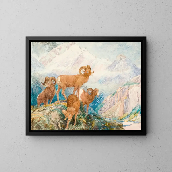 Mouflon des Big Horn - Alexander Phimister Proctor — gerahmtes Bild an der Wand