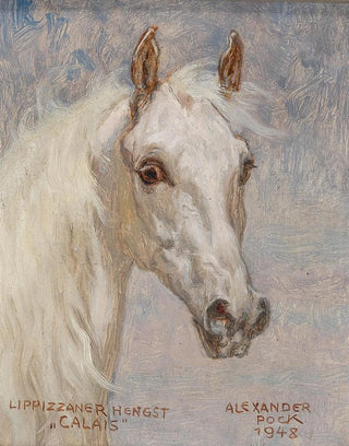 Alexander Pock - Pferdeportrt Calais.webp