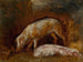 Studie von Schweinen - Alexandre-Gabriel Decamps — Ansicht des Kunstwerks