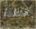 Wald mit Felsen - Alexandre Cabanel — Ansicht des Kunstwerks
