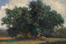 Landschaft mit Eichen - Alexandre Calame — Ansicht des Kunstwerks