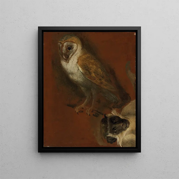 Studie einer Eule mit einer fragmentarischen Studie eines Affen - Alexandre François Desportes — gerahmtes Bild an der Wand