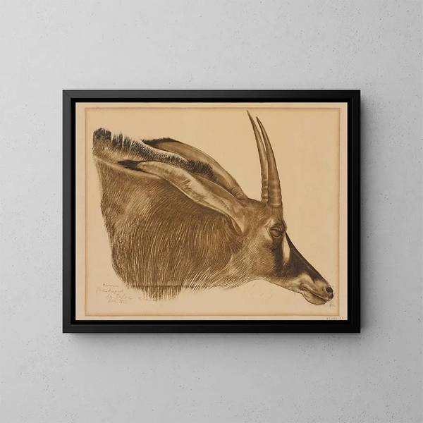 Antilope hippotrague - Alexandre Iacovleff — gerahmtes Bild an der Wand