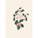 Illustrationen und Beschreibungen der Pflanzen, die die natürliche Ordnung der Camellieae bilden Pl02 - Alfred Chandler — Ansicht des Kunstwerks