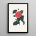 Illustrationen und Beschreibungen der Pflanzen, die die natürliche Ordnung der Camellieae bilden Pl35 - Alfred Chandler