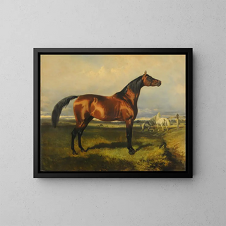 Alfred De Dreux - Caballos en libertad.webp
