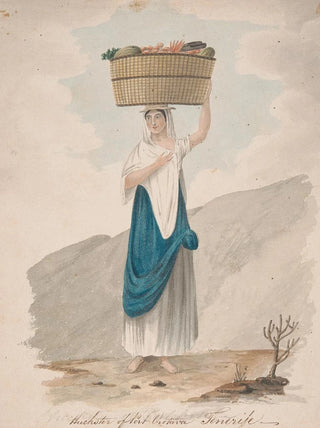 Alfred Diston - Huckster of Port Orotava Tenerife.webp