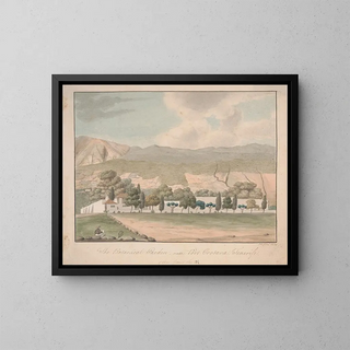Alfred Diston - The Botanical Garden near Port Orotava Tenerife.webp
