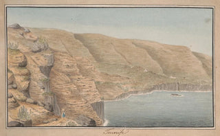 Alfred Diston - View of La Rambla de Castro near Port Orotava Tenerife.webp