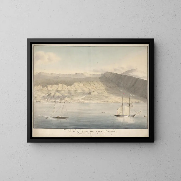 Ansicht des Hafens von Orotava auf Teneriffa vom El Limpio de Las Calaveras - Alfred Diston — gerahmtes Bild an der Wand