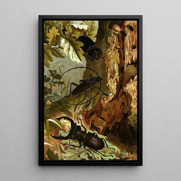 Alfred Edmund Brehm - Die Insekten Tausendfussler und Spinnen Pl 05.webp