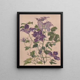 Alice Bailly - Aquarelle dune clmatite grandes fleurs.webp