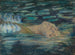 Ophelia - Alice Pike Barney — Ansicht des Kunstwerks