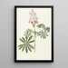 Lupin - Alida Withoos — gerahmtes Bild an der Wand