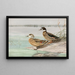 Enten mit erhobenem Kopf, Ente mit bronzefarbenen Flügeln - Allan Brooks — gerahmtes Bild an der Wand