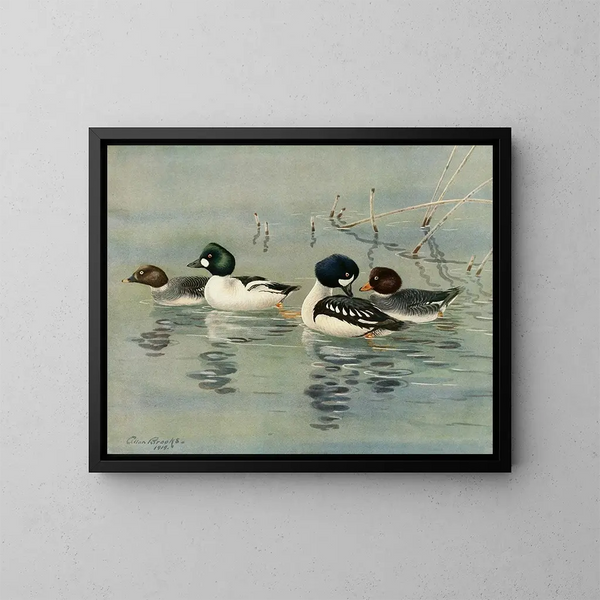 GoldenEye Barrows - Allan Brooks — gerahmtes Bild an der Wand