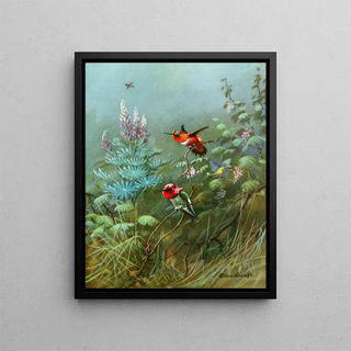 Allan Brooks - Rufous and Annas humming birds.webp