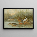 Ente Souchet - Allan Brooks — gerahmtes Bild an der Wand