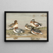 Amerikanische Ente - Allan Brooks — gerahmtes Bild an der Wand
