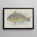 Chevesne - Allen Ginter — gerahmtes Bild an der Wand