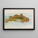 Kabeljau aus der Nordsee - Allen Ginter — gerahmtes Bild an der Wand