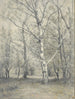 Birkenwald - Alphonse Stengelin — Ansicht des Kunstwerks