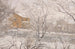 Schneelandschaft vom Atelierfenster - Amaldus Nielsen — Ansicht des Kunstwerks