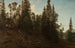 Vingersheia Telemark - Amaldus Nielsen — Ansicht des Kunstwerks