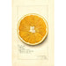 Reproduktion des Gemäldes Citrus paradisi Navel - Amanda Almira Newton