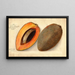 Pouteria campechiana Mammey - Amanda Almira Newton — gerahmtes Bild an der Wand