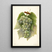Reproduktion des Gemäldes Vitis Diamond - Amanda Almira Newton