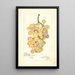 Vitis Kurtelaska - Amanda Almira Newton — gerahmtes Bild an der Wand